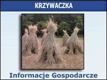 Krzywaczka informacje gospodarcze
