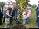 Dąb Niepodległości 2018 - 15