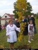 Dąb Niepodległości 2018 - 29